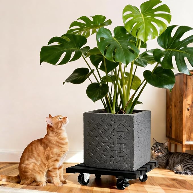 2 Pack Plant Stand with Wheels, Plant Caddies with 360° Lockable Smooth Sliding Wheels Durable Sturdy, Outdoor/Indoor Heavy Duty Rolling Plant Stand for Plant Pot,Flower Pot (11" Black Square)