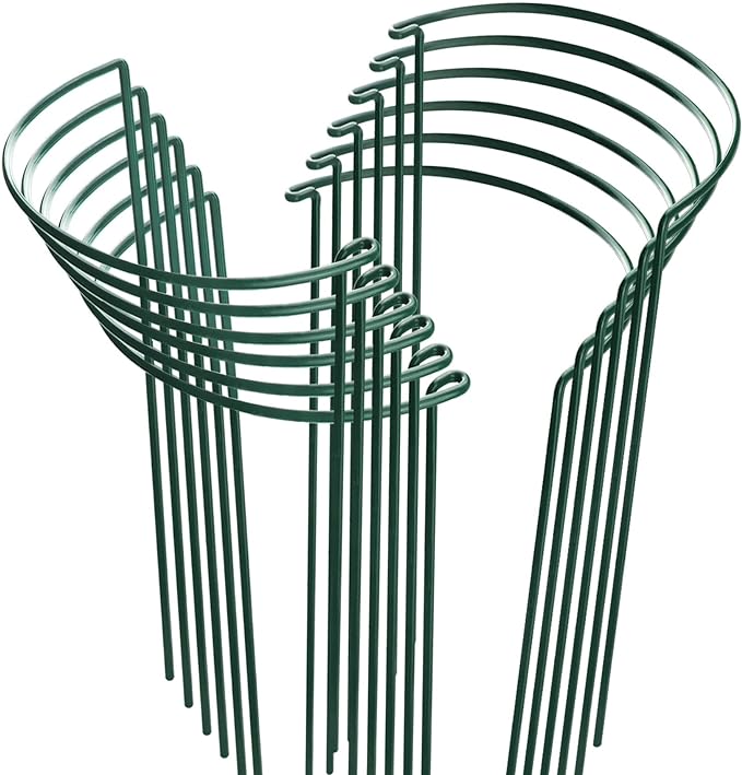 HiGift 12 Pack Plant Stakes for Indoor Plants, Metal Garden Peony Support Cages, Outdoor Plant Supports Ring Prop, Large Plant Stake for Hydrangea,Rose,Flower,Vine,Potted Plants (10" W x 15.8" H)