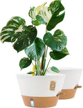 12-Inch Self Watering Planters with Drainage Holes, Large Flower Pots for Indoor Outdoor Plants, Garden Pots White 2 Pack