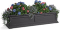 Mayne Fairfield 4-Foot Window Box – Self-Watering, Weather-Resistant Planter for Flowers – Durable Design for Outdoor Use, Perfect for Windows