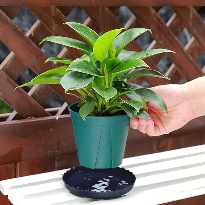 12Pcs Plant Saucer, 6 8 10 Inch Durable Plastic Plant Tray, Black Round Plant Pot Saucers, Drip Tray for Indoor and Outdoor Garden