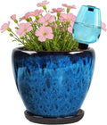Ceramic Pots for Plant with Self Watering Globes, 6 inch Planters for Indoor Plants with Saucer, Glaze Flower Pots Outdoor with Drainage Holes, Decorative Garden Pots