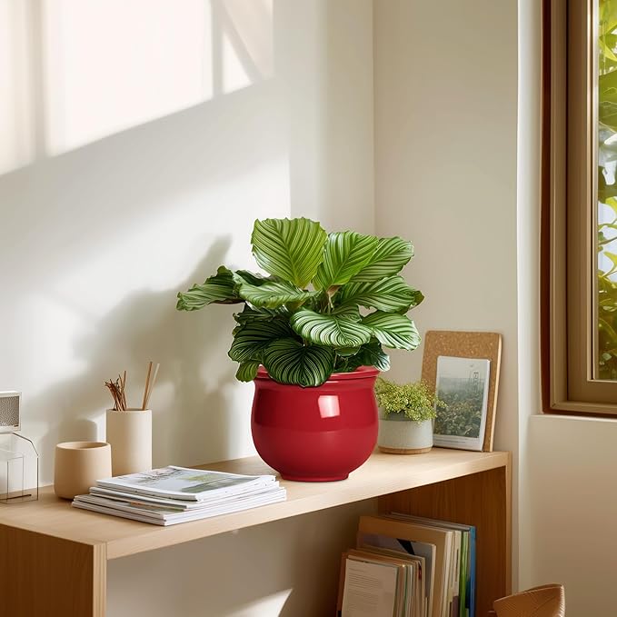Ceramic Self Watering Planter, 6 Inch African Violet Pots with Absorbent Inner Pot, Round Self Watering Pots, Ceramic Flower Pot for Plants Indoor, Porch Decor, Plant Lover Gifts for Men, Red