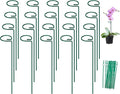 FEED GARDEN 16 Inch 20 Pack Plant Support Stakes, Metal Garden Flower Stakes and Supports for Outdoor Plants, Plant Stem Support with 40 Twist Ties for Amaryllis Lily Rose Peony Tomatoes Gladiolus
