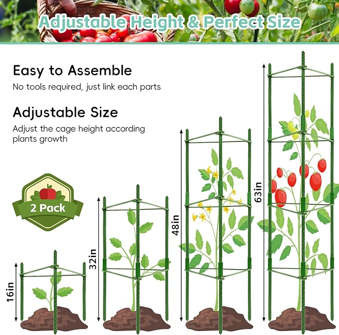 Riare 2 Pack 4 FT Tomato Cages for Garden- 48inches Heavy Duty Garden Stakes, Adjustable Tall Tomato Plant Support Tomato Trellis Cage for Pots, Raised Garden Bed, Climbing Vegetables Plants Flowers