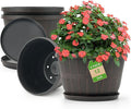 Quarut 12 Inch Large Planter Pot for Plants Indoor Outdoor, 4 Pack Plastic Flower Pots with Drainage Hole & Tray, Modern Decorative Garden Pot with Saucer, Plant Container for House（Brown）
