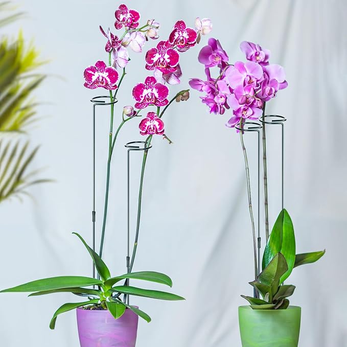 Mwellewm 3 Sets Plant Stakes 12/25/36 Inch Adjustable Plant Support Stakes Tall for Indoor Outdoor Plant Holder Stick Steel Garden Stem Pole Amaryllis Stakes with 15 Clip for Tomato Orchid Lily Flower