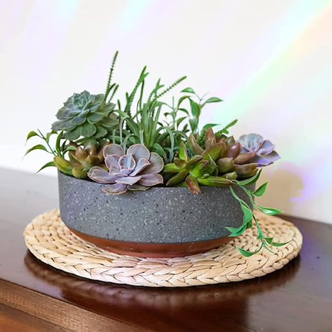The HC Companies 8 Inch Round Plastic Succulent Capri Bowl 8"x8"x3" in Faux Concrete Color with Copper Band