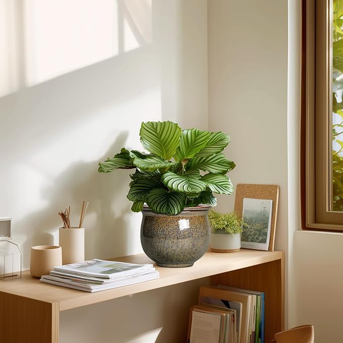Self Watering Planters for Indoor Plants, 6 Inch Ceramic African Violet Pots with Absorbent Inner Pot, Ceramic Plant Pot, Round Flower Pots, Bathroom Decor, Housewarming Gifts, Yellowish Brown