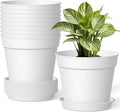 10 Pack 6 Inch Plant Pots with Drainage and Saucers, White Plastic Flower Pots for Indoor and Outdoor Plants, Stackable Nursery Planters for Houseplants and Herbs, White