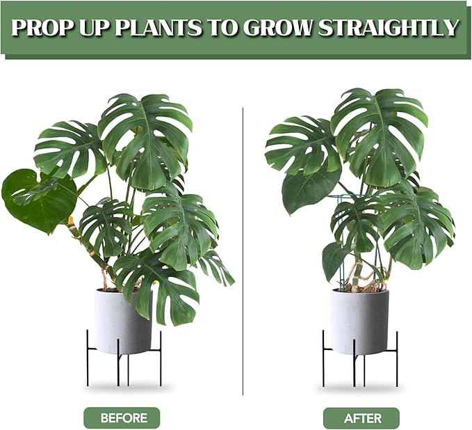 Joyhalo 12 Pack Plant Support Stakes, 16 Inch Plant Stakes for Outdoor Plants, Peony Cages and Supports, Peony Cage with 15 Pcs Twist Ties, Flower Stakes Peonies Support Cages for Plants