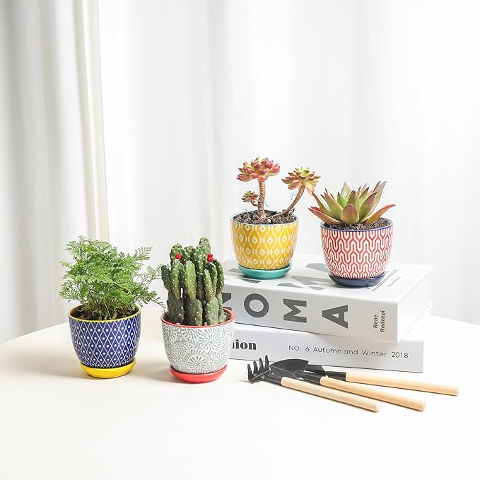 Selamica Ceramic Succulent Pots, 3.5 Inch Small Plant Pots for Indoor Plants Cactus Herbs, Succulent Planters with Drainage Holes & Saucers, Home Decor, Set of 6, Assorted Colors