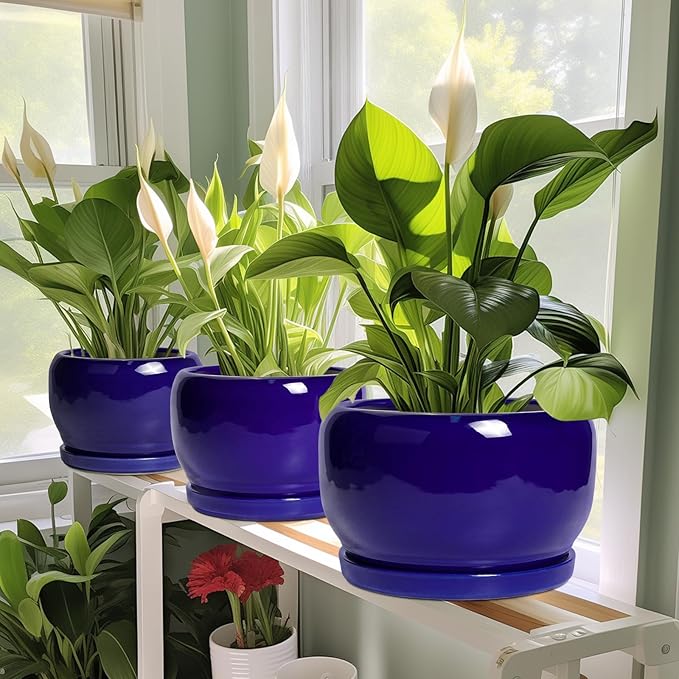 SQOWL Ceramic Plant Pot - 10 Inch Ceramic Planter for Indoor Outdoor, Round Flower Pot with Drainage Hole and Saucer, Modern Decorative Large Planter, Garden Decor, Plant Lover Gifts, Blue