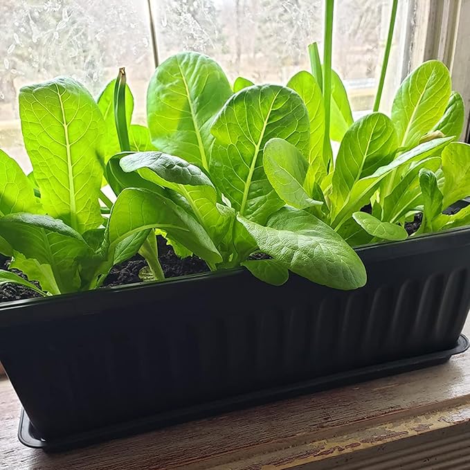 6 Pack 17 Inch Flower Window Box, Plastic Vegetable Planters Long Pots with Tray, Black Garden Flower Plant Pot for Windowsill Patio Garden Porch Balcony, with 30 PCS Plant Labels