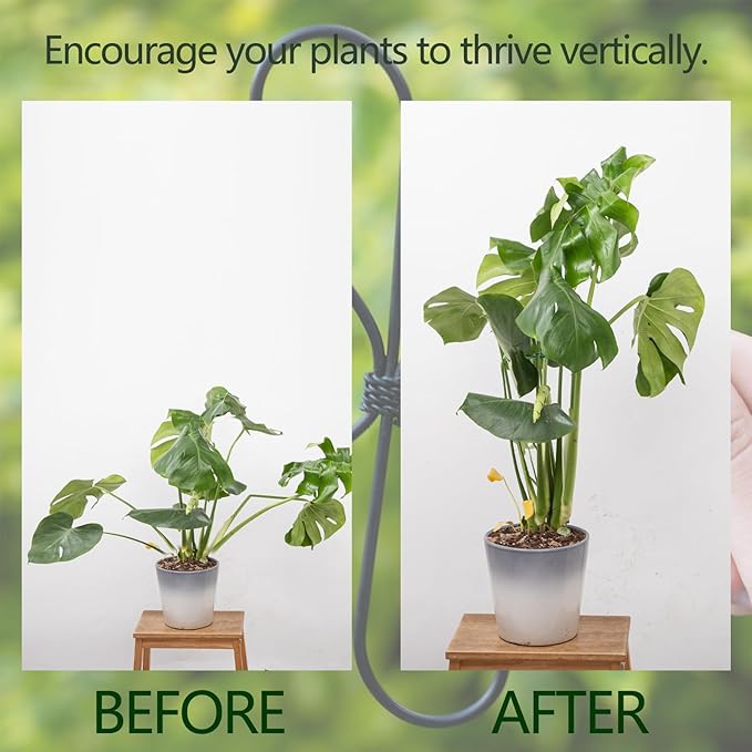 Monstera Plant Stem Support 5 Pcs - 7.5” Indoor Plant Stabilizer Holder for Monstera & Climbing Plants - Durable, Lightweight, Easy to Use for Optimal Growth & Stability - Home Décor Friendly