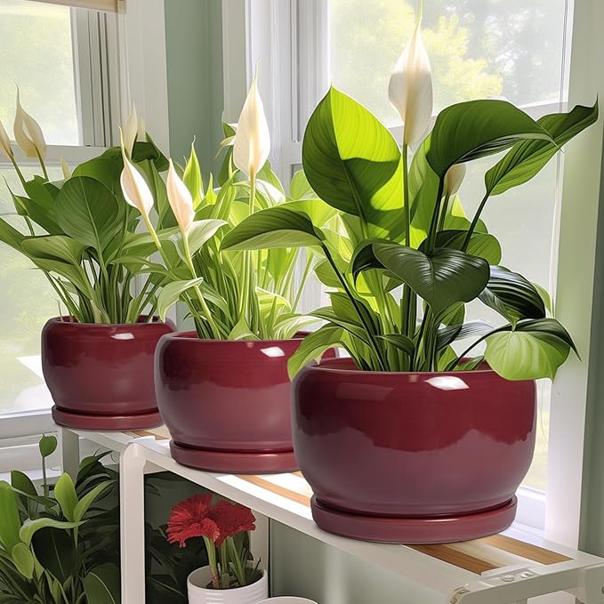 SQOWL 6 Inch Plant Pot - Ceramic Planter for Indoor Plants Outdoor, Round Planter with Drainage Hole and Saucer, Decorative Modern Small Flower Pots, Room Decor, Gifts for Plant Lovers, Red