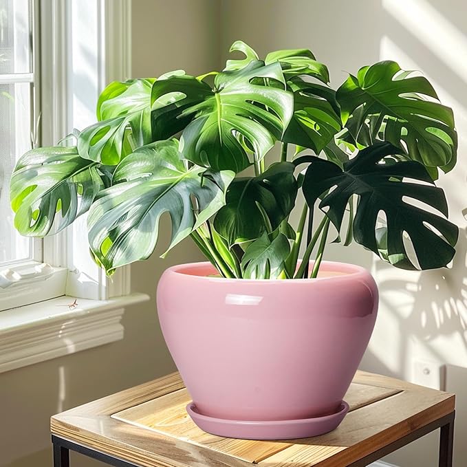 10 Inch Plant Pot - Ceramic Planter for Indoor Plants, Glaze Modern Round Planter with Drainage Hole and Saucer, Gifts for Plant Lovers, Office Patio Home Room Decor, Pink