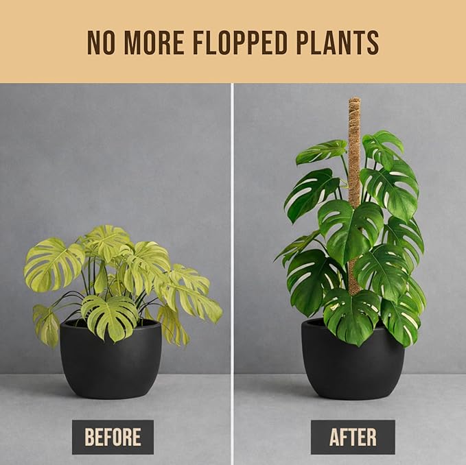 Moss Pole Monstera Plant Support – 2 Pack 28” Bendable Moss Pole Monstera Plant Support, Plant Stakes for Indoor Plants, Tall Plant Sticks Support for Climbing Plants
