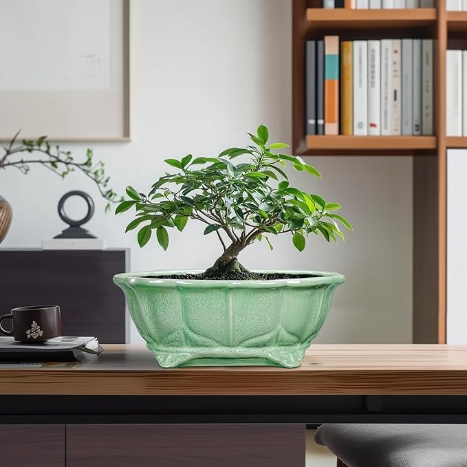 Bonsai Pots 11 Inch - Ceramic Succulent Pots with Drainage Hole, Oval Planter for Indoor Outdoor, Decorative Ceramic Flower Pot, Home Garden Room Decor, Plant Lover Gifts, Green