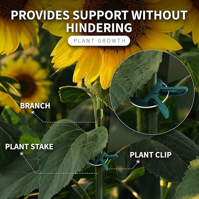 Plant Clips 80 Piece Green Gentle Gardening Plant & Flower Lever Loop Gripper Clips, Tool for Supporting or Straightening Plant Stems, Stalks, and Vines, Garden Clips, by RamPro