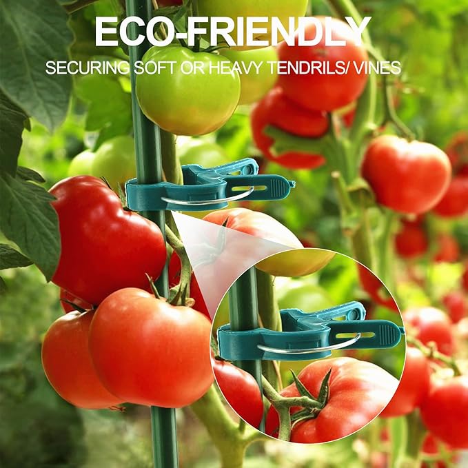 30 Pcs trumpet 1 inch Plant Support Clips,Flower and Vine,Garden Tomato Plant Support Clips for Supporting Stems,Vines Grow Upright Climbing,Tool for Straightening,Tomato Cage,Trellis.