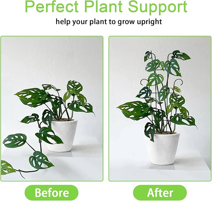 4P Plant Trellis for Potted Plants, Larger 23in Garden Trellis for Climbing Plants Indoor Outdoor, Rustproof House Plant Support Stakes for Pothos Hoya Ivy Flower
