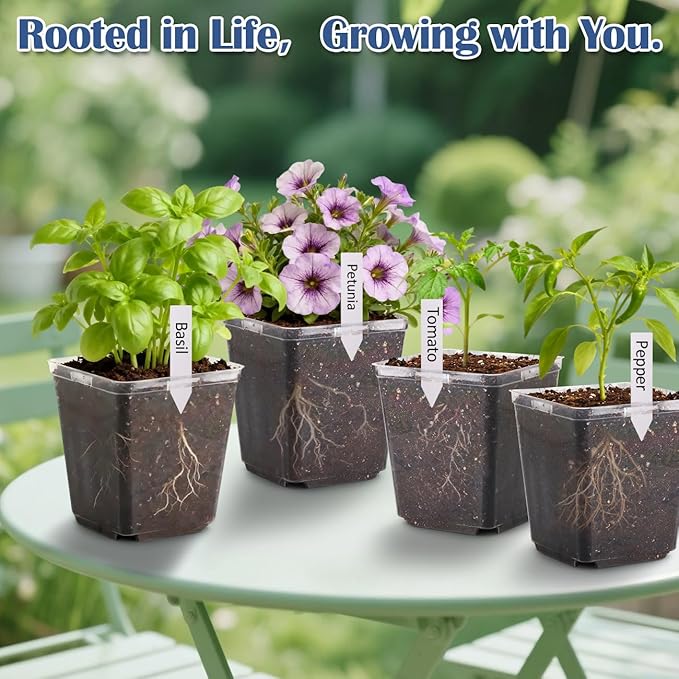 5.5 Inch Clear Square Nursery Pots with Drainage & Labels, 30Pcs Reusable Seed Starter Pots for Vegetables, Indoor Outdoor Gardening, Thick Transparent Plastic Plant Pots for Seed Starting