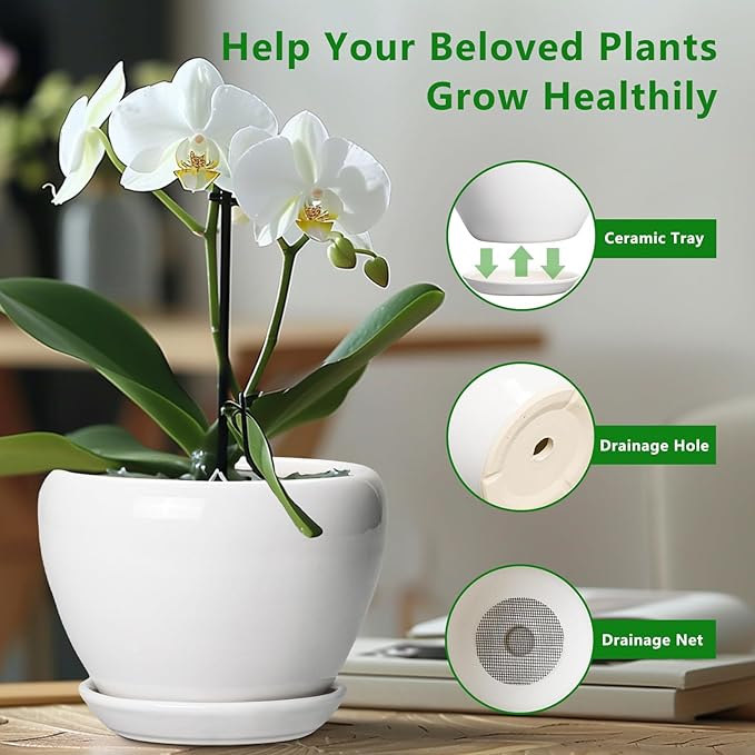 Ceramic Pot for Plants - 8 Inch Ceramic Planter for Indoor Plants, Modern Round Planter with Drainage Hole and Saucer, Plant Lover Gifts, Home Office Garden Decor, White