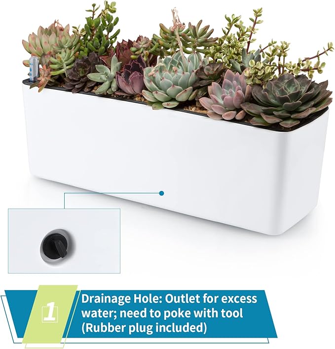 Skelang 2-Pack Self Watering Planter, Rectangle Flower Pot with Water Level Indicator, Window Gardening Box for Indoor Plants, Succulent, Sprout, Pepper