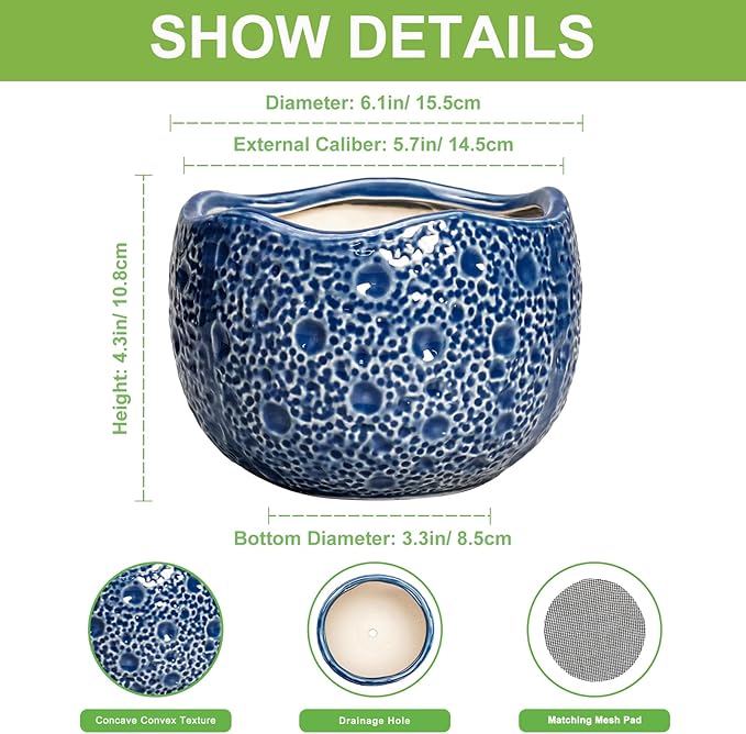 Orchid Pot - 6 Inch Ceramic Plant Pot for Indoor Outdoor, Round Unique Planters with Drainage Hole, Modern Round Decorative Flower Pots, Home Decor, Gifts for Plant Lovers, Blue