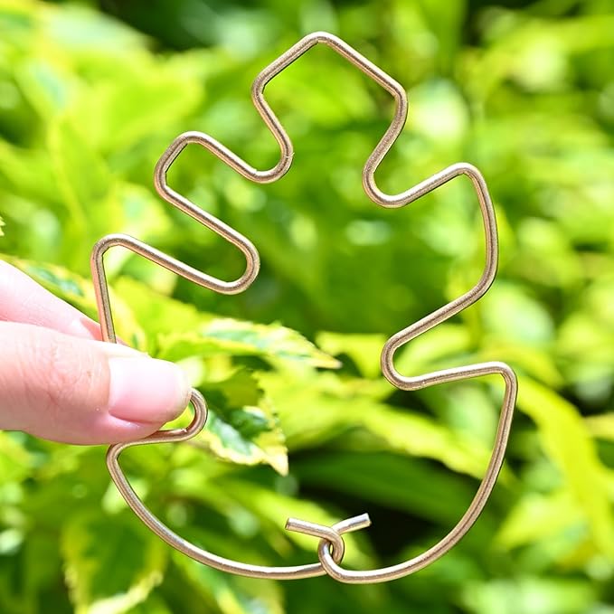 Monstera Plant Stem Support - 5 Piece Set, 4.13x2.95in Durable Leaf Holder & Fishbone Cactus Stake for Healthy Growth of Climbing Plants - Easy to Use Indoor Plant Decor