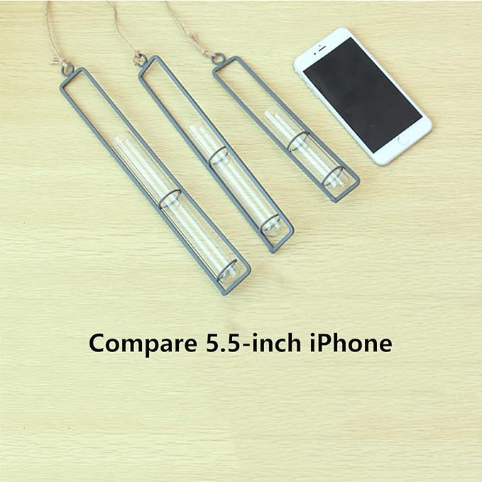 3 Pieces Hanging Glass Hydroponic Planter Transparent Test Tube Plant Vase Terrarium Container for Indoor Outdoor Modern Home Decoration (Black)