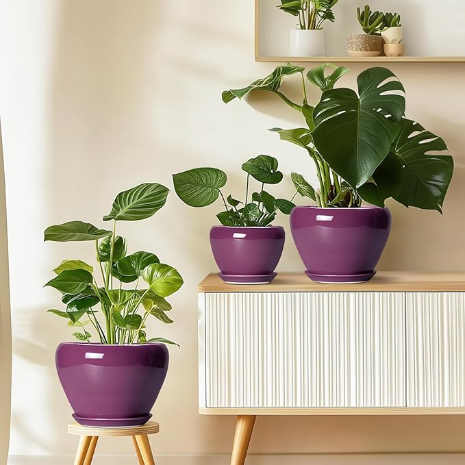 10 Inch Plant Pot - Ceramic Planter with Drainage Hole and Saucer, Round Modern Flower Pot for Indoor Outdoor Plants, Housewarming Gift, Home Garden Decor, Purple