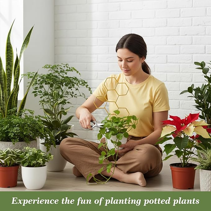 Small Trellis for Potted Plants, 14 Inch Indoor Trellis for Climbing Plants Honeycomb Shape Metal Plant Trellis for Pots Plant Climbing Support for Flower Hoya Pothos Houseplants