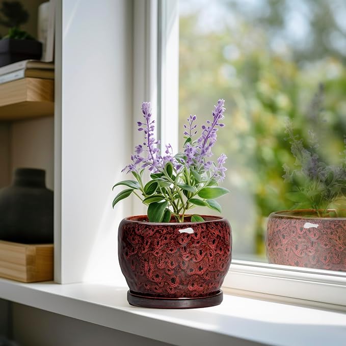 SQOWL Ceramic Pot for Plants - 6 Inch Plant Pot Indoor with Drainage Hole and Saucer, Decorative Flower Pot Outdoor, Round Succulent Planter, Front Porch Decor, House Warming Gifts New Home, Red