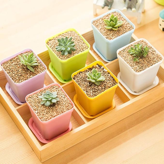 24 Pack 3inch Multi Color Square Plastic Plant Pots,Seedling Nursery Transplanting Planter Container Indoor Outdoor for Your Room,Garden Office and Balcony Decor