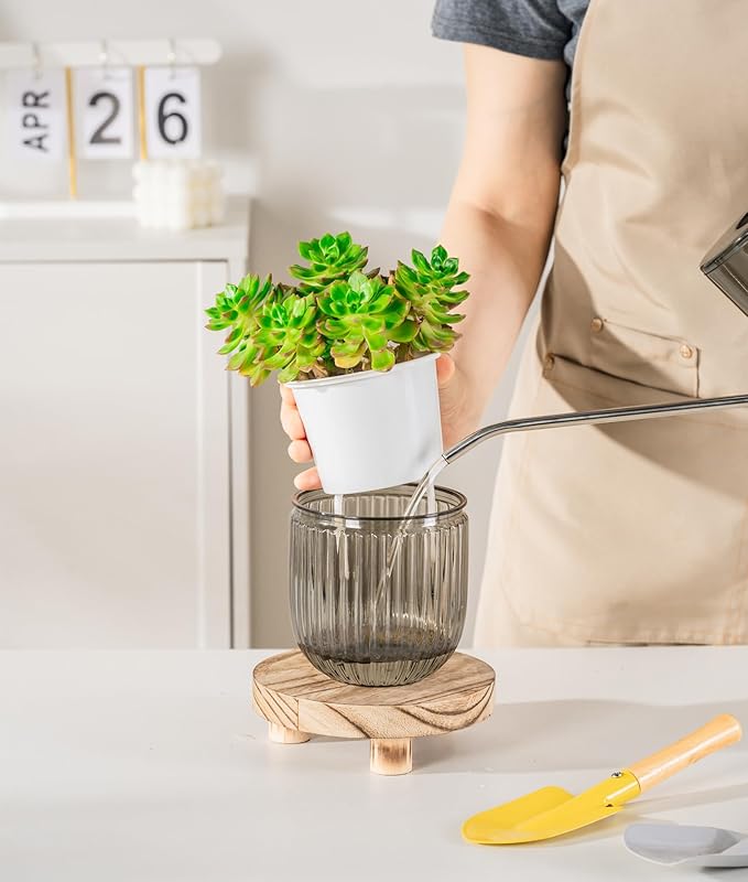 Melphoe Self Watering Pots for Indoor Plants Planter, 4.3 Inch 2 Pack Planters Self Watering Plant Pots for Flower, Houseplants, Succulent, African Violets and Cactus with Drainage