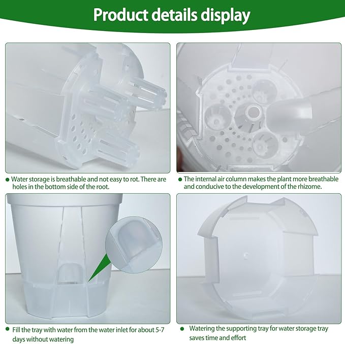 Cdd's Path 6-Pack Bare Root Planter Self Watering Pots Set with Holes for Indoor/Outdoor Plants, 2 Each of 5, 6 and 7 Inch Planter Pot with Watering Hole/Reservoir and Air Pipes, Clear