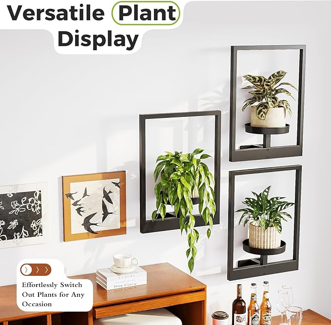 Bamworld Hanging Planters for Indoor Plants Wall Decor Living Room Plant Stand Indoor Wall Planters Plant Hanger Window Plant Shelves 3 Pack for Outdoor Entryway