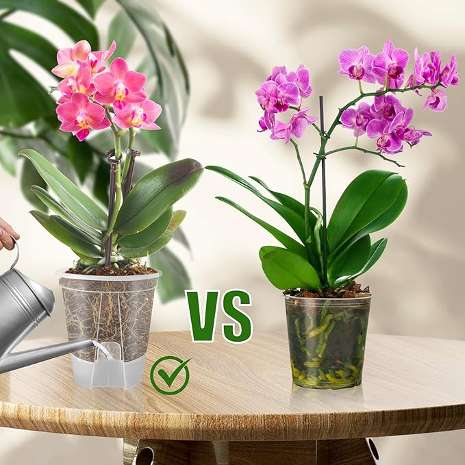 Cdd's Path 5-Pack 6 Inch Self Watering Naked Root Planter Pots with Drainage Holes & Reservoir, Plastic Planters with Air Pipes for Indoor Outdoor Plants，Clear