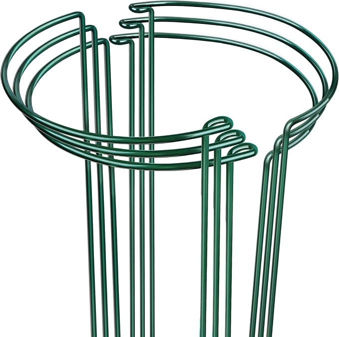 LEOBRO 6 Pack Plant Support Plant Stakes, Metal Peony Support, Garden Plant Supports, Plant Cage, Plant Support Ring, Plant Support Stakes for Peony, Tomato, Hydrangea, Indoor Plants, 9.8 W x 15.7 H
