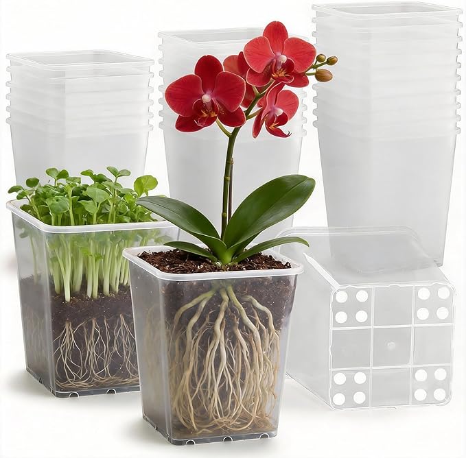Nursery Pots 6 Inch 40 Pcs, Plastic Seed Starting Pot with Drainage Holes, Sturdy Seedling pots for Planting, Cuttings, Clear