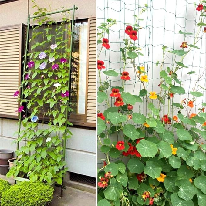 Pack of 2 Cucumber Tomato Trellis Netting, Heavy Duty Garden Netting for Climbing Plants Support, Pea, Grape, Bean, Fruit, Vegetables - 4" Mesh Size, 6Ft x 12Ft