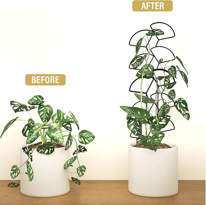 Indoor Plant Trellis for Climbing Plants, 3 Pack Stackable Garden Trellis for Potted Plants, Small House Plant Trellis for Vine Ivy Flower Plant Support Outdoor DIY Metal Trellis, Black