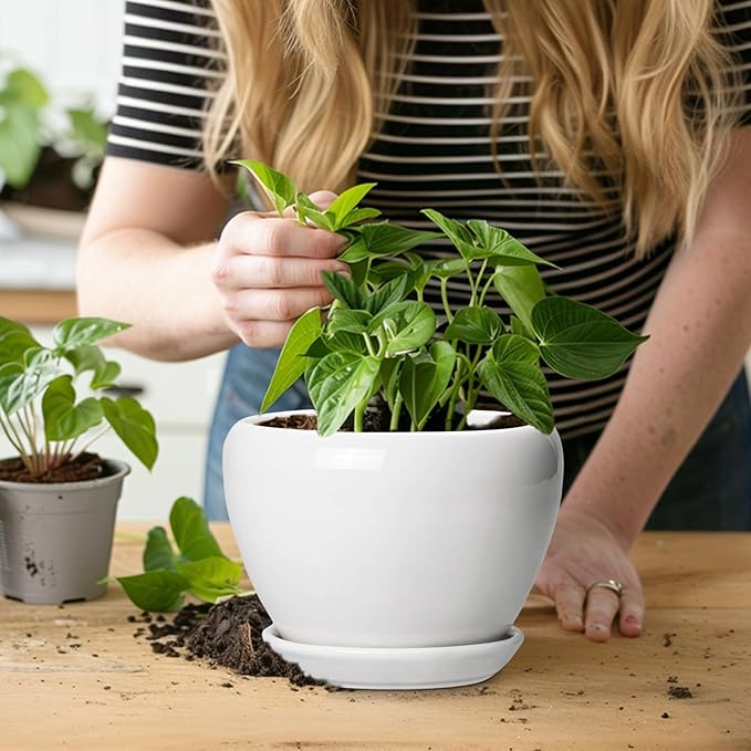 Ceramic Pot for Plants - 6 Inch Plant Pot for Succulent Plants, Glaze Modern Round Planter with Drainage Hole and Saucer, Gifts for Plant Lovers, Home Office Patio Room Decor, White