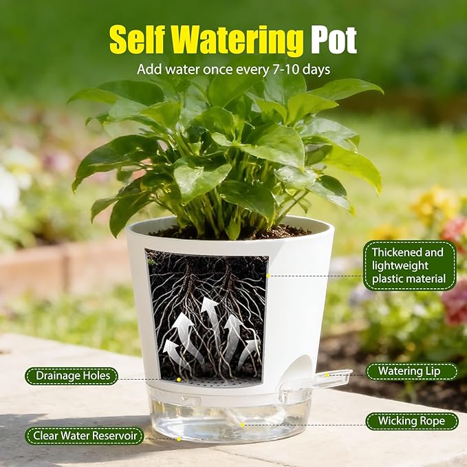 Plant Pots 6 Inch Self Watering Pots,6 Pack Plastic Planters with Drainage Holes and Clear Saucers,Plastic Flower Pots,Nursery Planting Pot for Indoor Out Door Plants (White)