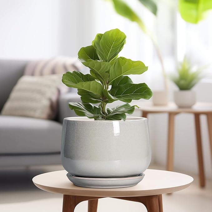 G EPGardening Ceramic Plant Pots - 9 Inch Ceramic Planters for Indoor Outdoor Plants, Modern Flower Pots with Drainage and Saucer, Round Planter, Garden Home Decor, Plant Lover Gifts, Light Grey