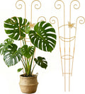 2 Pcs Tall Trellis for Potted Plants, 30'' Expandable Butterfly Shape Garden Trellis for Climbing Plants Indoor, Plant Pothos Climber Support for Monstera, Ivy, Hoya, Vine (Gold)