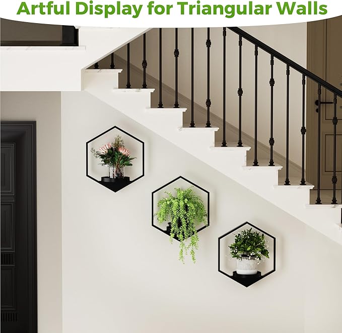 Wall Planters for Indoor Plants, Plant Frames Wall Decor Living Room Plant Stand Hanging Wall Plants Holder to Hold Large Pots Wall Plant Hanger Window Plant Shelves for Outdoor Entryway