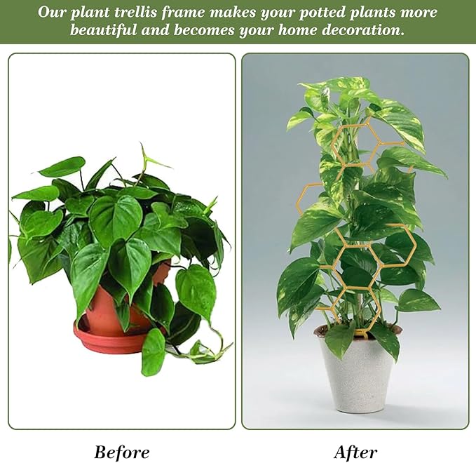 Grevosea 14 Inch Trellis for Climbing Plants Indoor, Plant Trellis Indoor Small Trellis for Potted Plants Honeycomb Metal Pothos Plant Climber Support for Flower Indoor Plants Supports